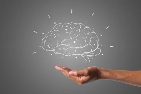 The Psychology of the Bettor: Mastering Emotions and Expectations in Soccer